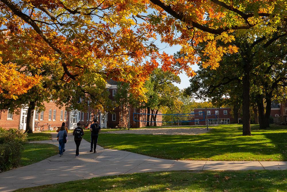 Students walk together to class under the autumn foliage.